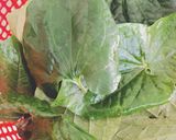 A picture of step 1 of Bò lá lốt.