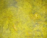 Foto del paso 3 de la receta: Arroz con pollo