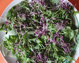Foto del paso 5 de la receta: Ensalada templada y otoñal de tofu