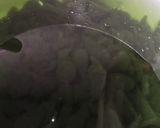 Foto langkah ke 5 dari resep Cendol Kecebong.