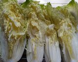 Foto langkah ke 2 dari resep Homemade Kimchi.