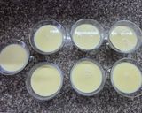 Foto del paso 4 de la receta: Panacota de Leche Condensada