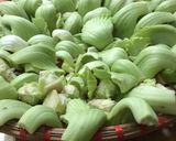 Hình bước làm 1 của món Dưa Cải Sen Muối