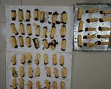 Foto langkah ke 8 dari resep Cheesy Choco Cookies.