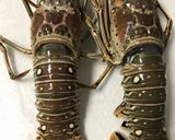 A picture of step 1 of Lobster Chowder.