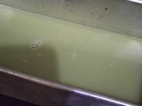 Puding kacang hijau