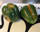 Une image de l'étape 1 de Mille feuille de poivrons grillés aux tomates ail et huile d olive et basilic.