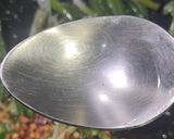 A picture of step 9 of Mongolian Chicken.