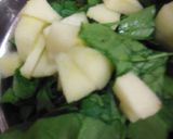 A picture of step 1 of Spinach.