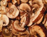 Foto del passaggio 3 della ricetta Patate e funghi in coccio