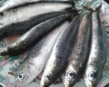 Foto del paso 1 de la receta: Sardinas asadas al horno