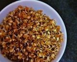 A picture of step 4 of Pani Puri sprout.