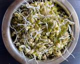 Protein Packed Sprouts recipe step 1 photo