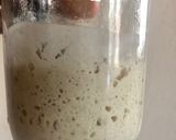 Foto del paso 5 de la receta: Proyecto MASA MADRE