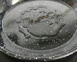 Foto del paso 3 de la receta: Fideuá de setas