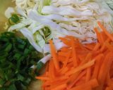 Foto langkah ke 3 dari resep Bala2/ bakwan kress.