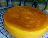 Foto langkah ke 6 dari resep Bolu/Cake Jelita Lowcarb/Debm/Keto.