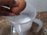 Puding Lumut