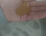 Foto del paso 5 de la receta: 27/07 📅 Matambre A La Leche🥛