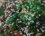 Foto langkah ke 3 dari resep Bulgogi Sapi.