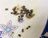 A picture of step 1 of Dal mash ladoo / urad dal laddu.