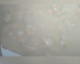 A picture of step 4 of Danwake.