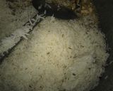 A picture of step 6 of Gur wale Chawal.