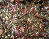 A picture of step 4 of Keerai Saaru Red Amaranthus.