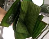 Hình bước làm 7 của món Bánh giò