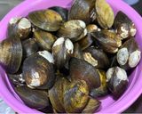 Gambar langkah 2 resipi Lokan Masak Lemak Berempah.