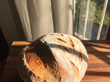 Pan de campo