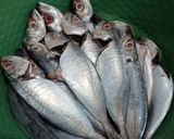 Foto langkah ke 1 dari resep Ikan Kembung Kukus.