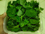 Sayur bayam