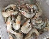 Foto langkah ke 1 dari resep Infusan minyak udang.