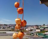 Hình bước làm 3 của món Hồng treo gió