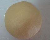Foto langkah ke 3 dari resep Roti empyuk 1x proofing.