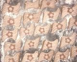 صورة لخطوة 4 من وصفة حلوة الفراشة بالفول السوداني(الكاوكاو)