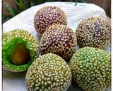 Foto langkah ke 7 dari resep Onde-Onde Kopong.