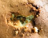 A picture of step 8 of Vanilla Sponge Cake.