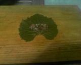 Foto del paso 4 de la receta: Yabrak a Mi Manera
