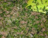 A picture of step 2 of Potato Kofta.
