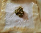 A picture of step 3 of Chicken Wontons.