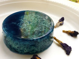 Puding lumut blue pea (bunga telang)
