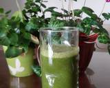 Healty Drink (Spinach Fig & Carrot)