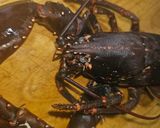 Foto del paso 4 de la receta: Arroz meloso de bogavante