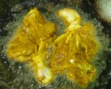 Foto langkah ke 3 dari resep Ayam Goreng Ketumbar Bawang Putih Satset.