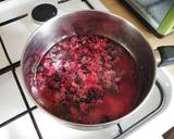Vickys Frozen Berry Jam, GF DF EF SF NF recipe step 2 photo