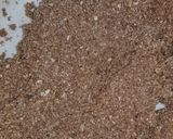 Foto del paso 2 de la receta: Alfajorcitos FIT de Avena coco y banana