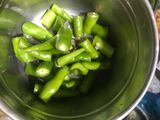 ફુદીના ની ચટણી (Pudina Chutney Recipe In Gujarati)