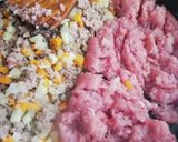 Foto del paso 4 de la receta: Lasaña con salsa bechamel